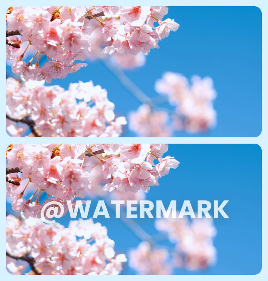 Remove Watermark from Photo Beautyplus