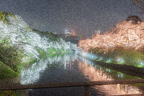 かなり暗い写真を明るくすると起きてしまうデメリット